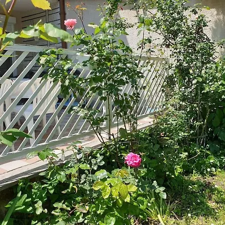 Simay Apartament Balatonalmádi